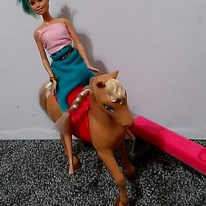 A barbei dall a poney a a belensbem